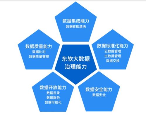 三十而立 企業(yè)數據資產化管理的東軟實踐